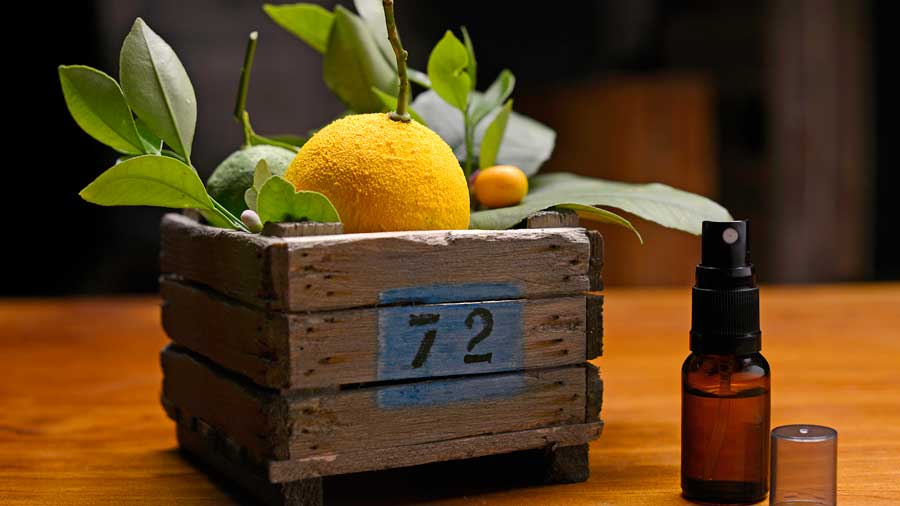 Lemon, Lime and Bitters