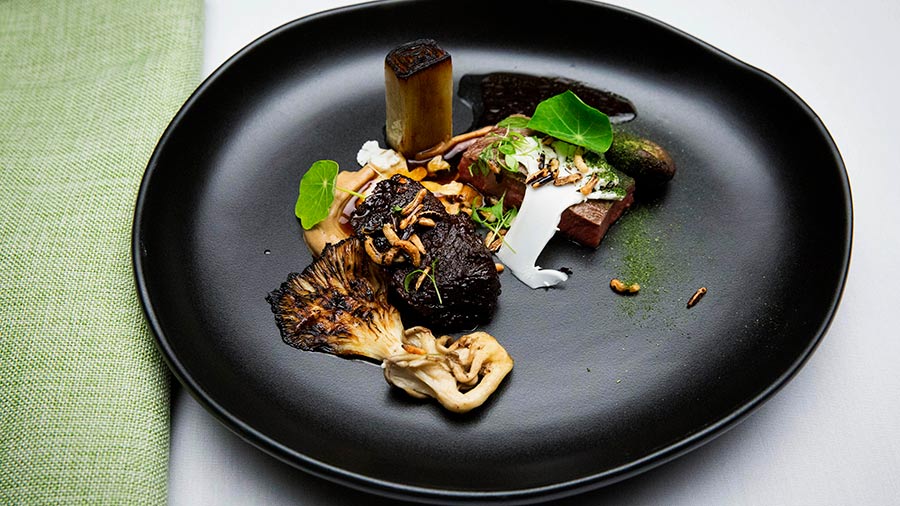 Wagyu, Mushrooms, Greens and Grains
