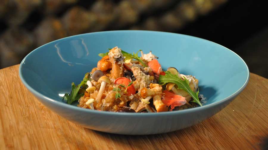 Mixed Mushroom and Barley Risotto