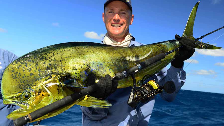 Mahi Mahi