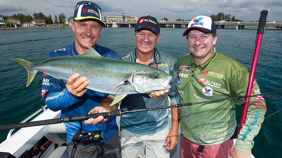 Kingfish