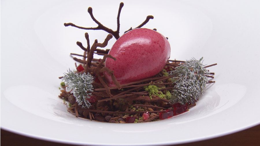 Season 8, Chocolate Forest Floor