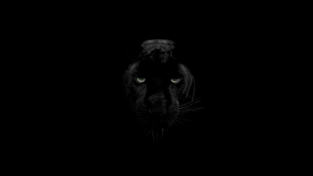 Another Sighting Of The Otway Panther!