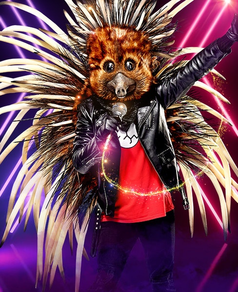 Echidna