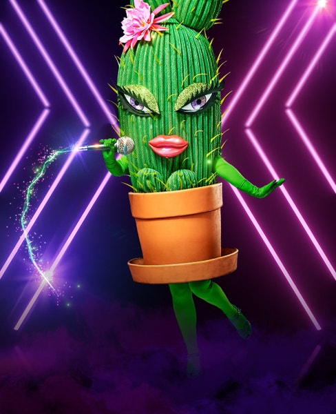 Cactus