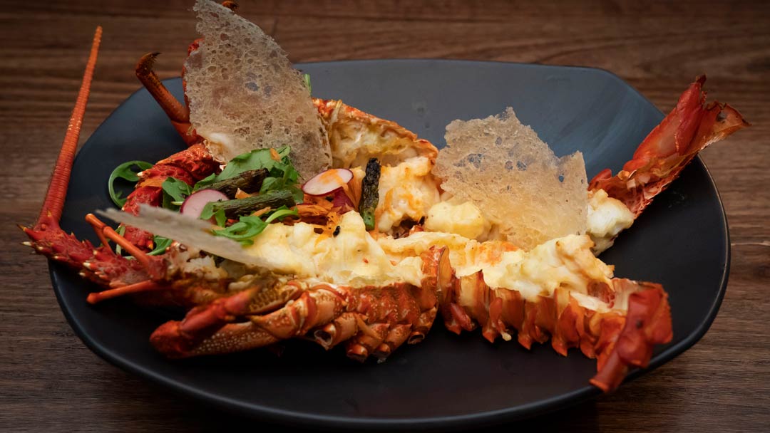 Lobster Mornay with Orange & Butter Sauce and Salad