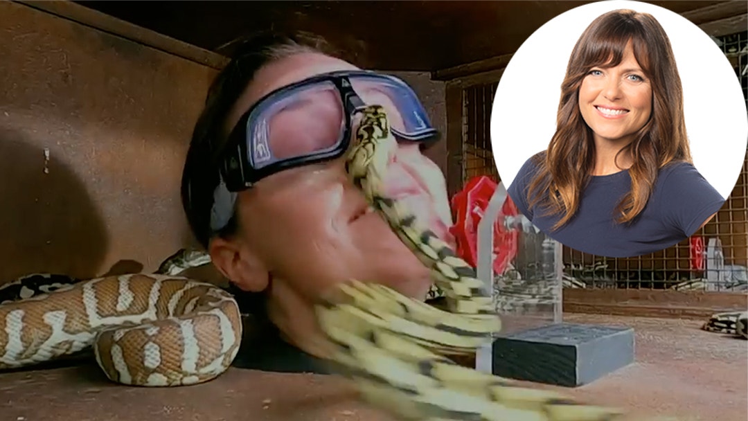 ‘You Have To Get Me Home To My Kids’: Toni Pearen Bitten On The Face By Snakes During Trial