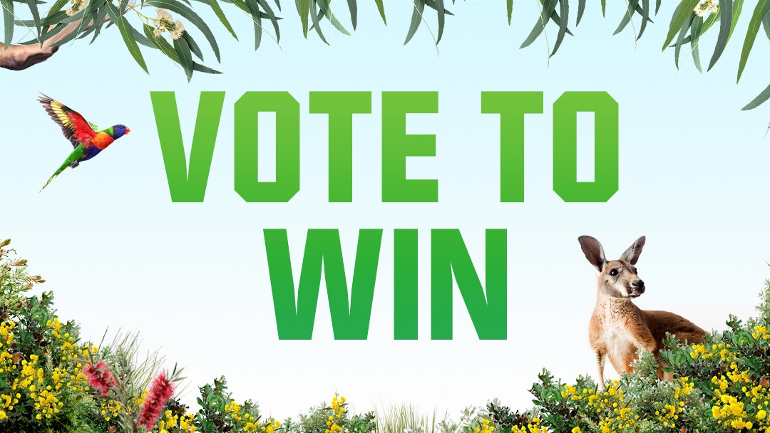 How To Vote For The Jungle Winner