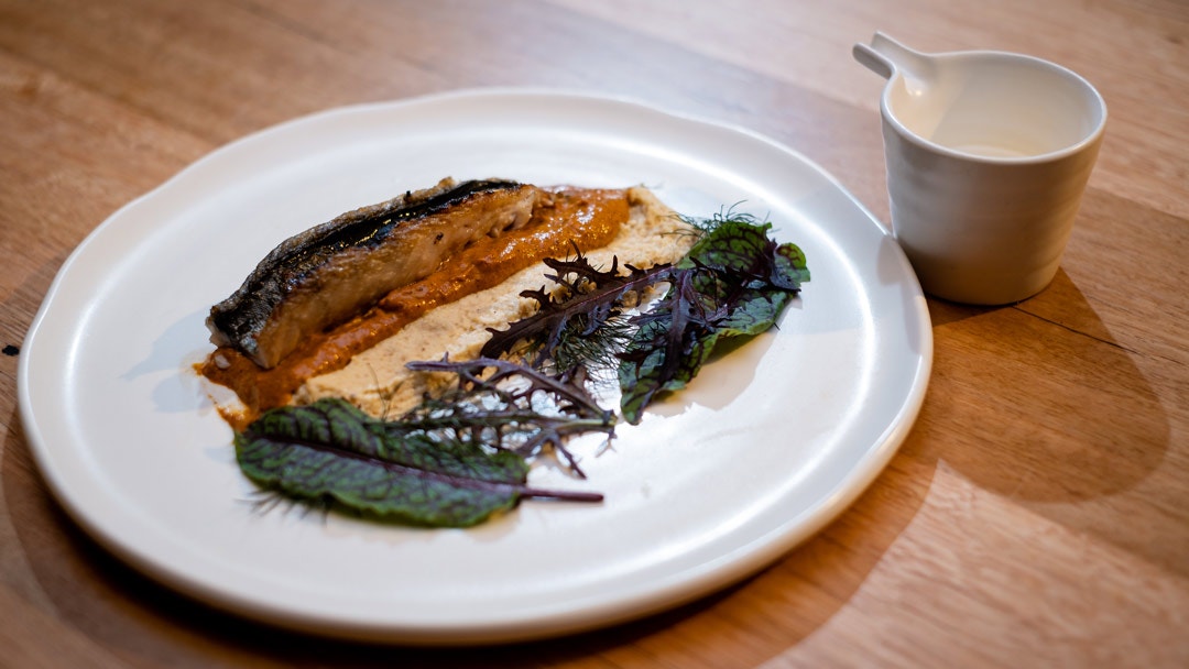 Grilled Mackerel, Cauliflower Hummus, Harissa