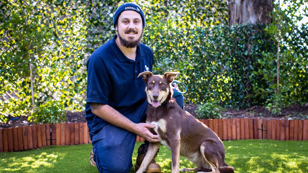 ‘I Couldn’t Be More Proud’: Animal Welfare League Manager Reveals The Significant Impact Of The Dog House Australia