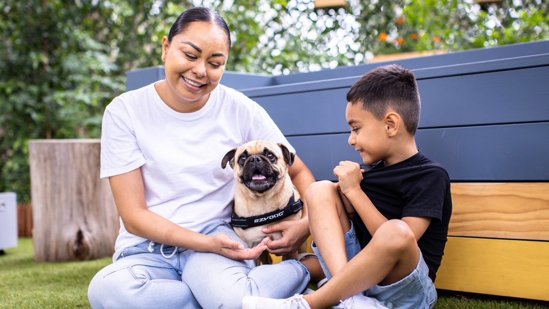 Where Are They Now: The Dog House Australia’s Emily, Jacob & Chop