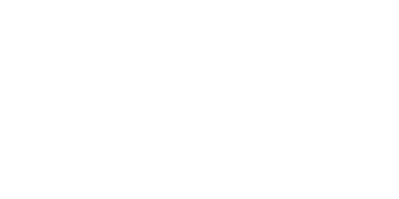 Crime Hunters