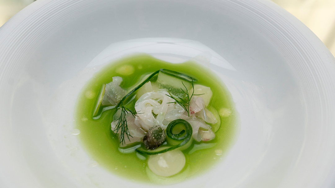 Crudo, Squid Noodles, Cucumber and Mint Consommé, Lemon Gel and Saffron Oil, Blinq Blossom