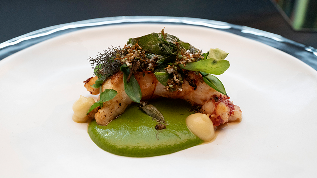 WA Marron, Sheeps Sorrel, Native Citrus, Green Ants