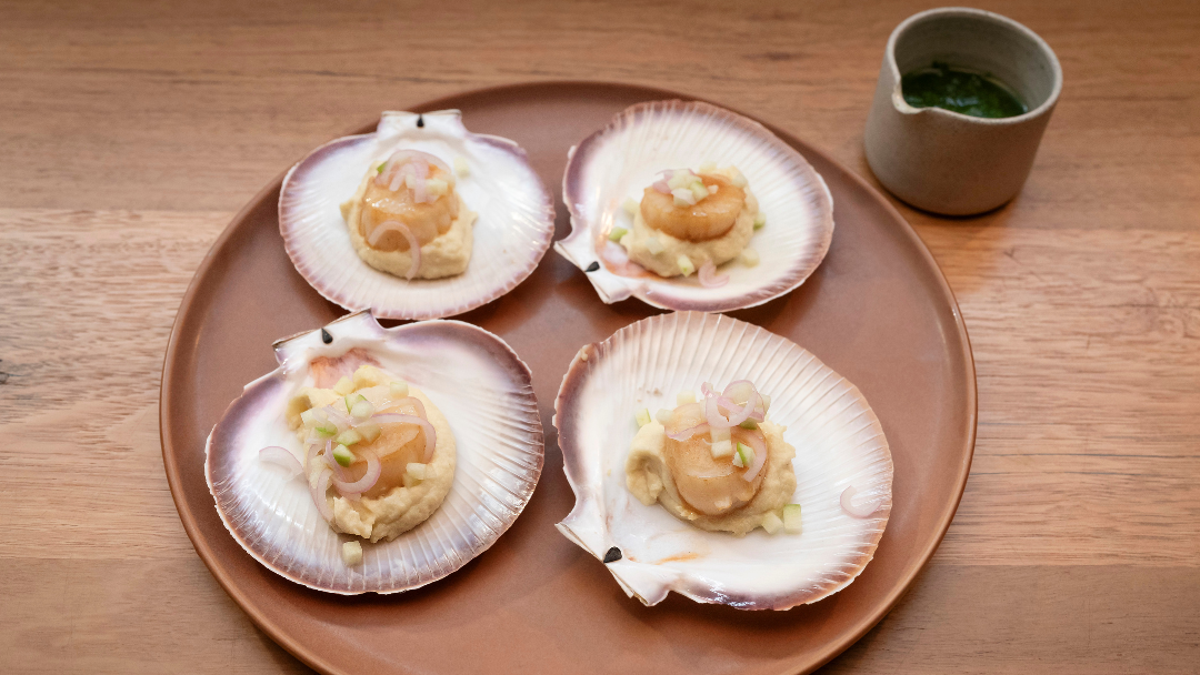 Pan-Seared Scallops With Miso Cauliflower Purée
