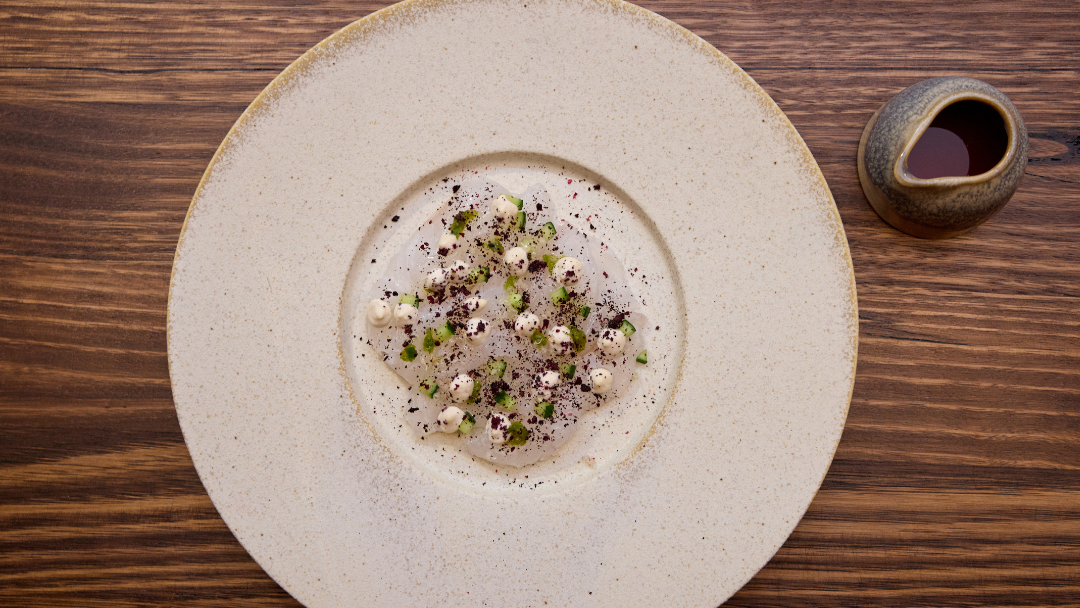 Cured Coral Trout with Davidson Plum Ponzu, Macadamia Cream, Lime Kosho, Cucumber & Finger Lime